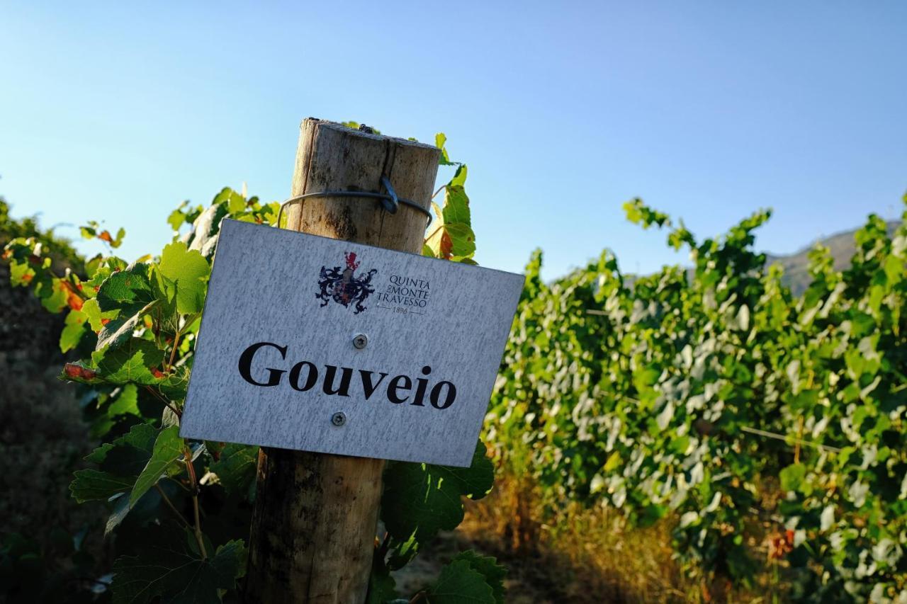 Quinta Do Monte Travesso - Country Houses & Winery Tabuaço Kültér fotó