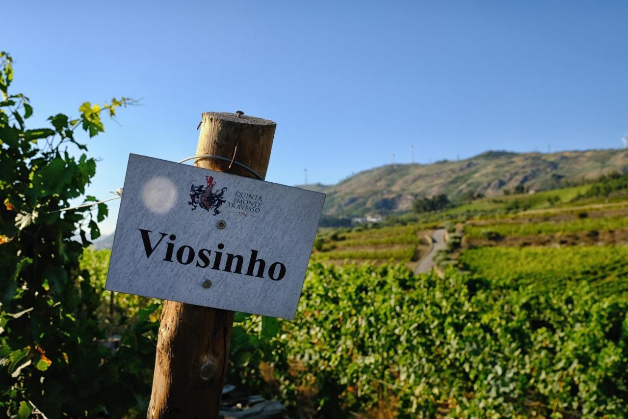 Quinta Do Monte Travesso - Country Houses & Winery Tabuaço Kültér fotó